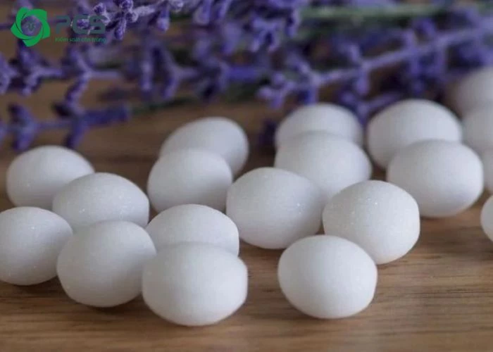 long não có đuổi được gián không